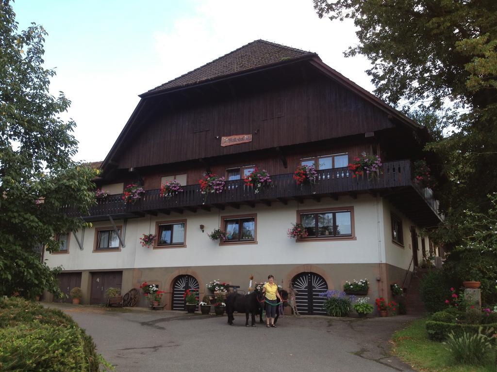 Mattenhof เซลอัมฮาร์เมอร์บัค ภายนอก รูปภาพ